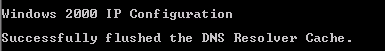 Shows "Successfully flushed the DNS Resolver Cache"