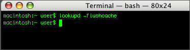 Shows Mac Terminal flush dns cache example